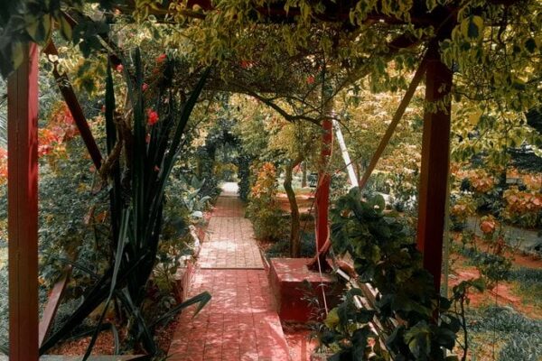 Freedom Park Tour, Lagos