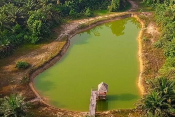 LUFASI Nature Park Tour