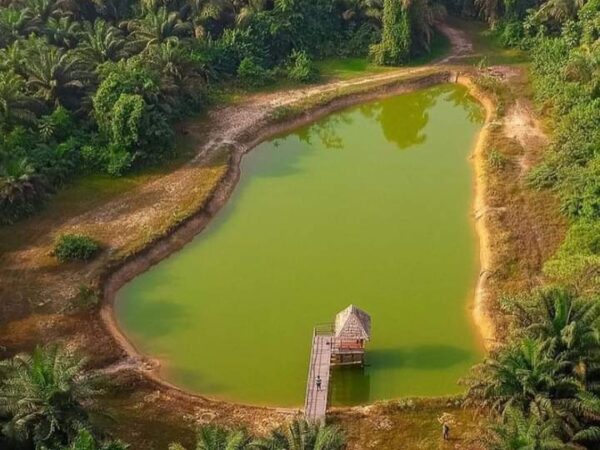 LUFASI Nature Park Tour