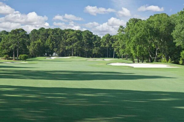 Dolphin Golf Club Tour