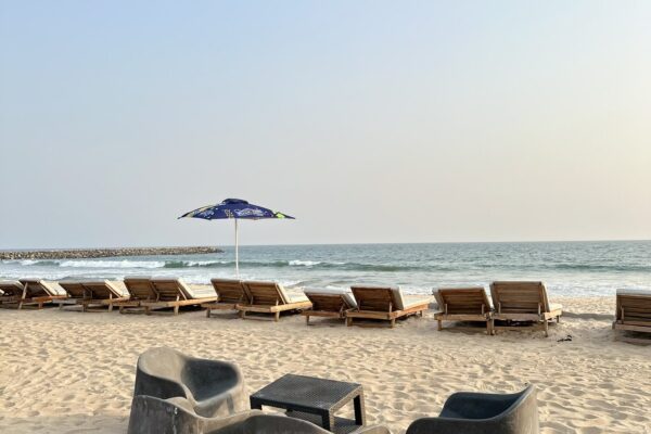 Turtle Bae by The Boxmall Company Tour