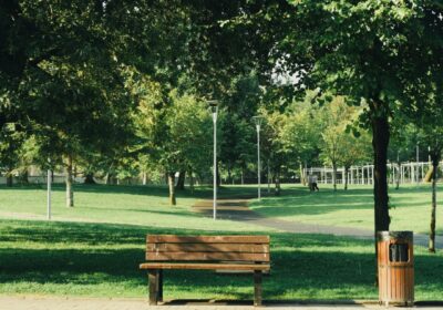 Top 10 Lagos Parks and Gardens to Host Your Outdoor Event