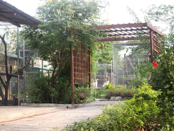 Greenfingers Wildlife Conservation Initiative