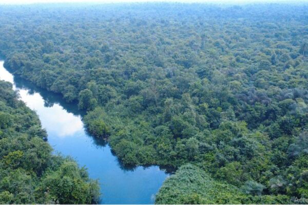 The Mystical Blue River
