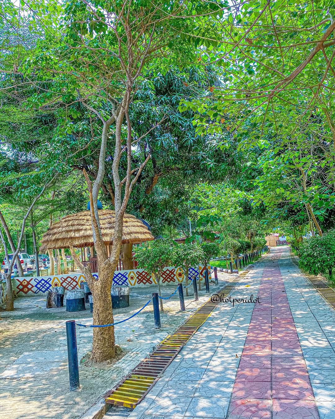 Lush greenery at the BMT African Garden.