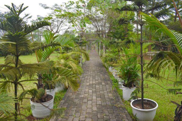 Lush Gardens Tour