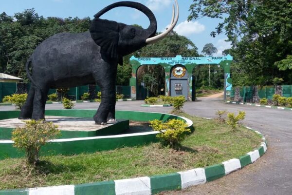 Cross River National Park (Oban Division)