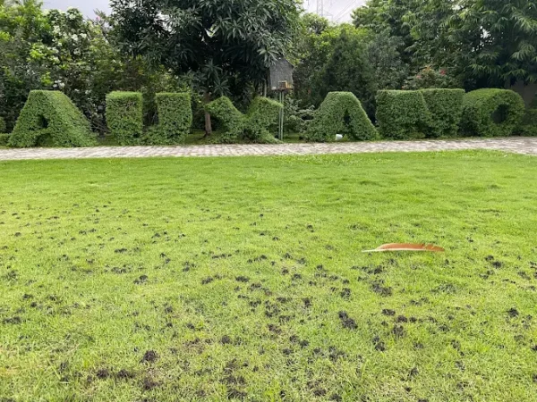 Auxano Gardens