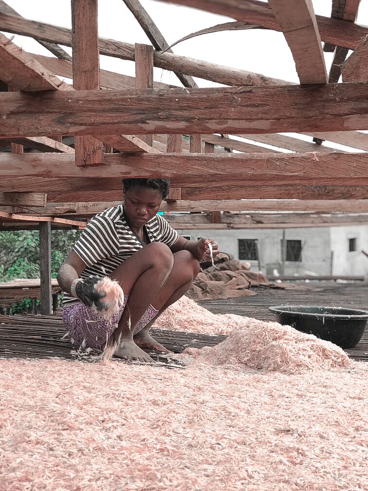 A woman arranging her crayfish at the Uta-Ewa Beach in Ikot Abasi, Akwa Ibom State.